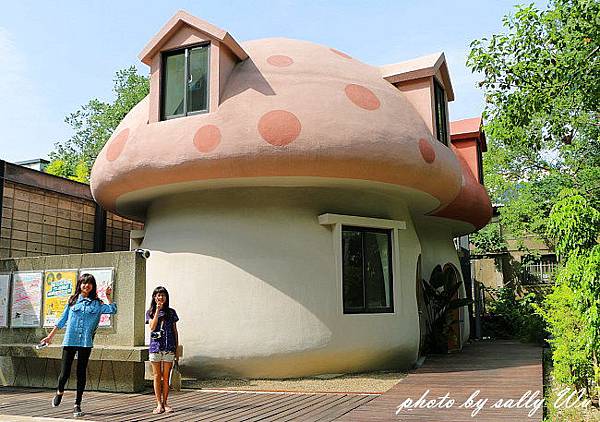 磨菇屋 (1).JPG 磨菇屋 (1).JPG