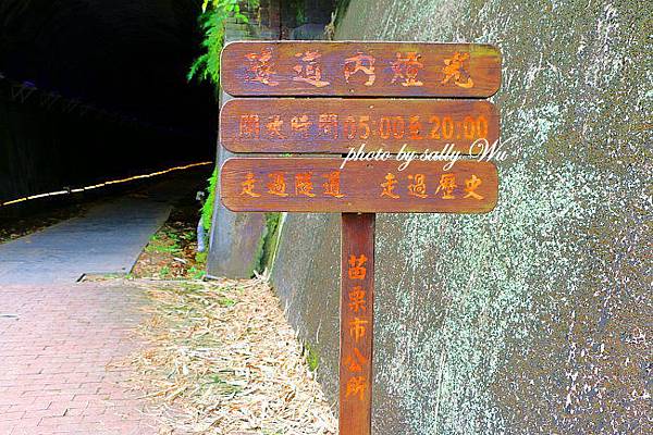 苗栗功維敘隧道 (10).JPG 苗栗功維敘隧道 (10).JPG