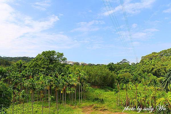 苗栗功維敘隧道 (47).JPG 苗栗功維敘隧道 (47).JPG