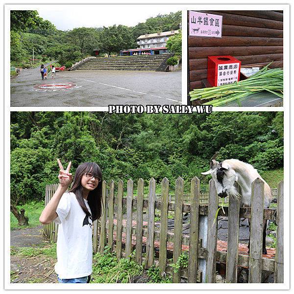 æ±åŒ—è§’ä¸€æ—¥éŠ (3).jpg