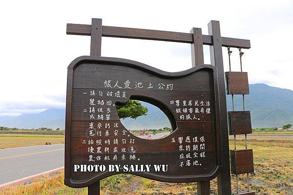 台東池上一日遊 (7).JPG 台東池上一日遊 (7).JPG