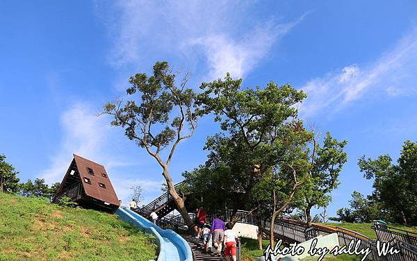 新竹青青草原溜滑梯 (1).JPG 新竹青青草原溜滑梯 (1).JPG