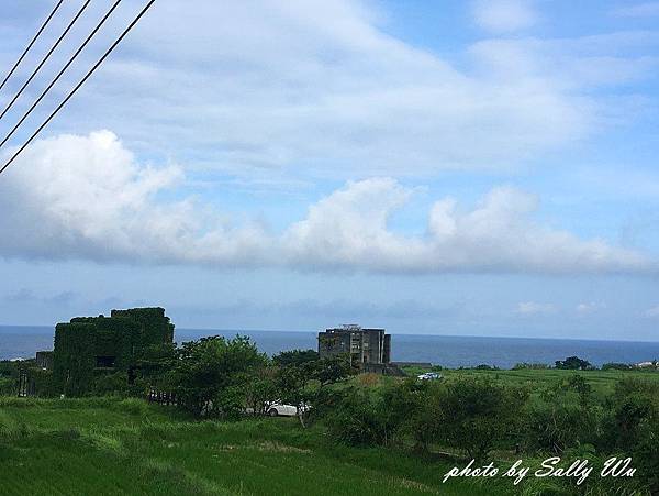 台東飛魚 (18).JPG