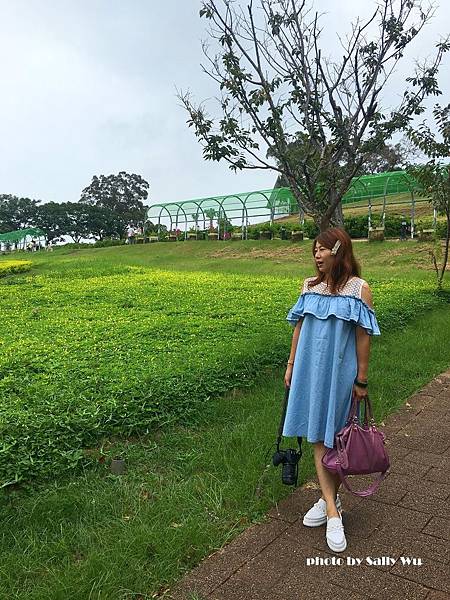 大溪花海農場摩艾神像 (48).JPG 大溪花海農場摩艾神像 (48).JPG