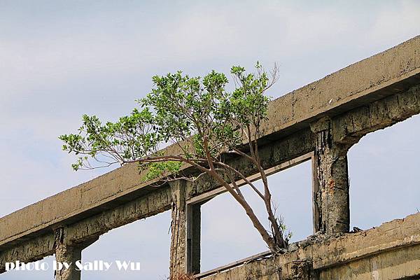 阿根納造船廠&正濱漁港 (28).JPG