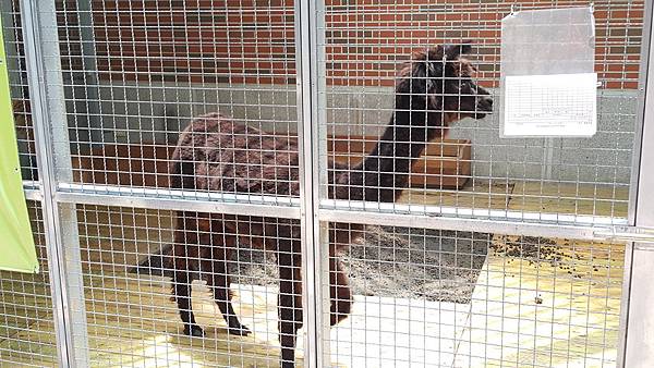 20150801_121305.jpg 20150801_121305.jpg