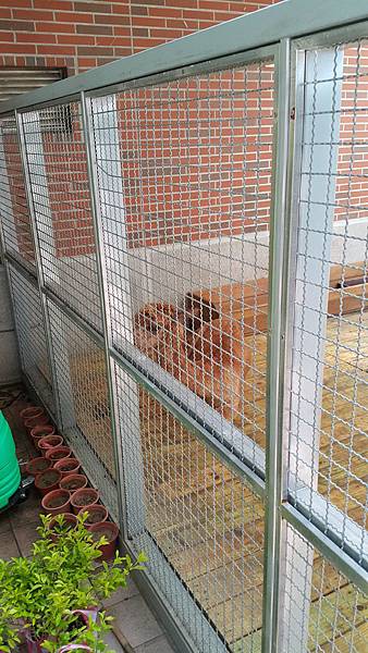 20150801_121358.jpg 20150801_121358.jpg