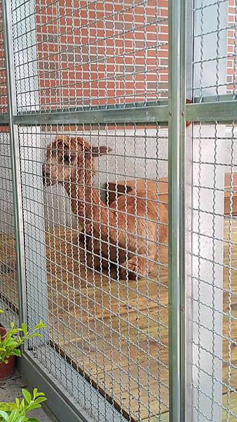 20150801_121417.jpg 20150801_121417.jpg