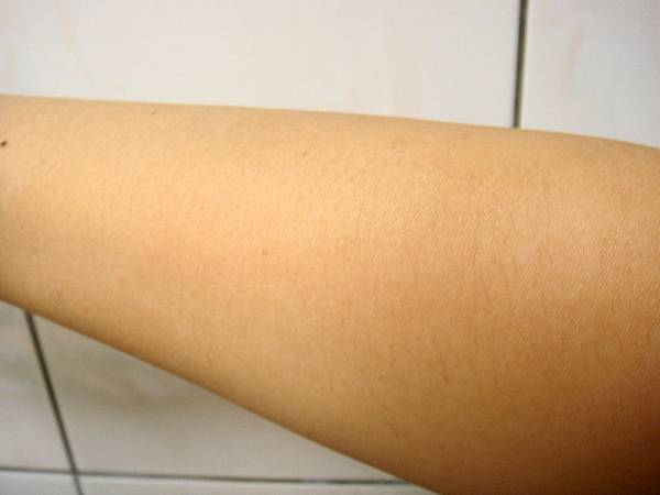 0429福來朗Hukurou、TIMBER驅蟲地板清潔劑、殺