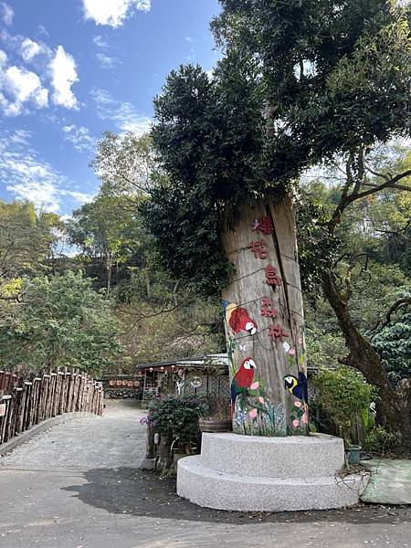 【新社美食】蕟展原鄉味，藏匿在櫻花鳥森林裡的原住民料理餐廳