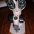 49解剖顯微鏡1.JPG