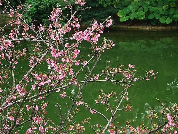DSCF5053.JPG