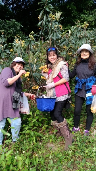 1488788592927 (338x600).jpg