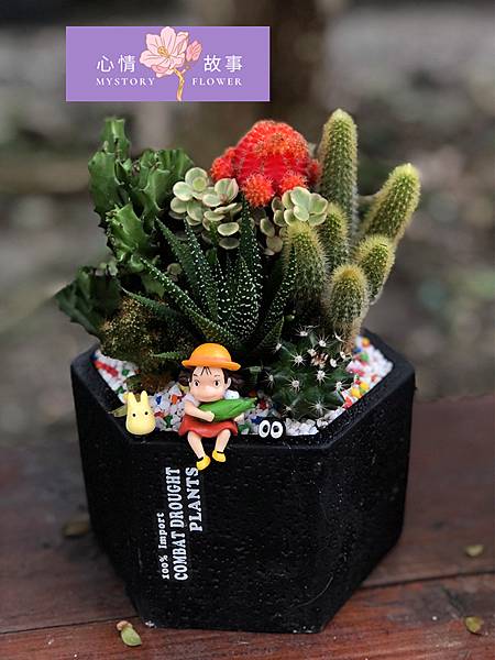 台南多肉 Cactus 心情故事花房21年12月多肉植物盆栽仙人掌台南推薦花店台南花店精緻盆栽台南網路花店 花姬兄弟 一個分享生活點滴的地方 痞客邦 台南多肉 Cactus 心情故事花房21年12月多肉植物盆栽仙人掌台南推薦花店台南花店精緻盆栽台南網路花店 花姬兄弟 一個分享生活點滴的地方 痞客邦