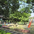 IMG_9205.JPG