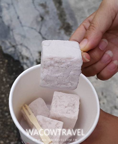 台南旅遊,台南美食小吃,太陽牌冰淇淋 44.jpg