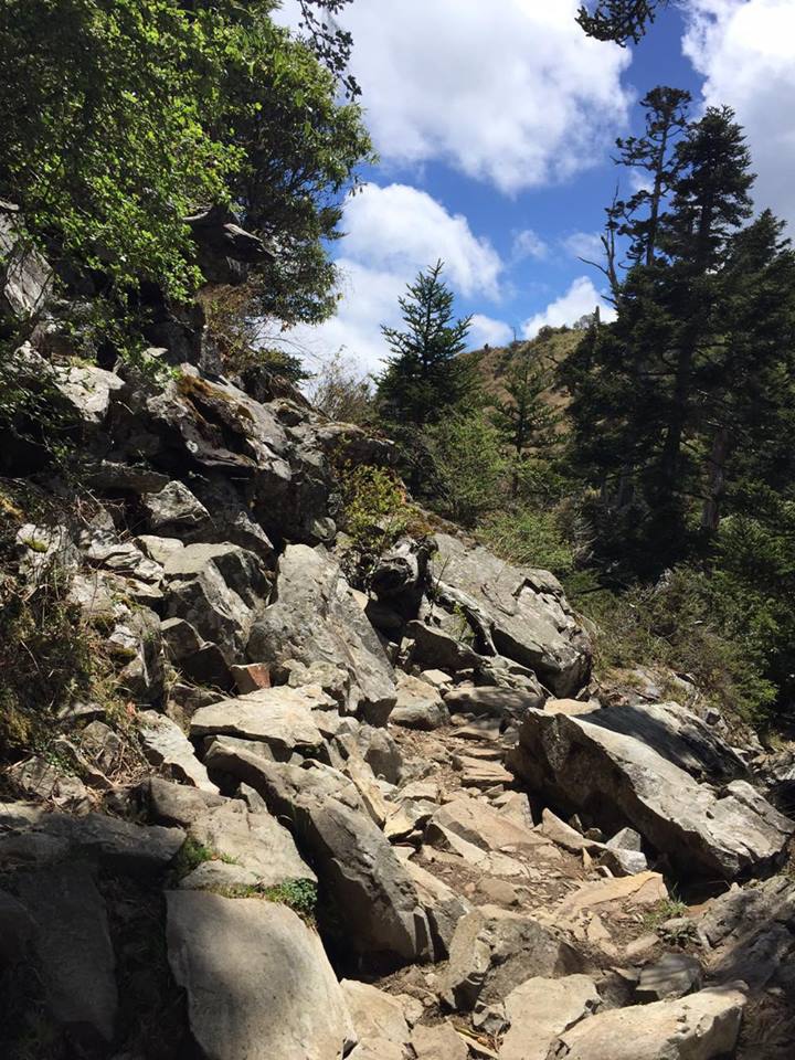 804711_992588814154651_1605373209_n.jpg 804711_992588814154651_1605373209_n.jpg