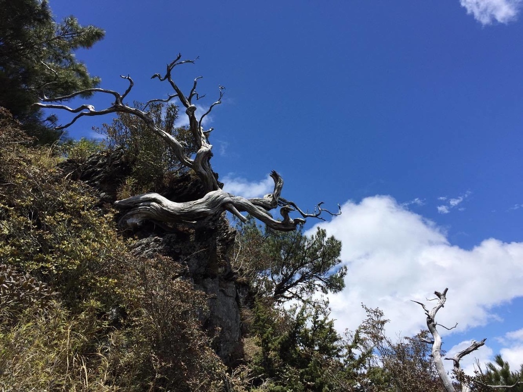 1059704_992588927487973_437784444_o.jpg 1059704_992588927487973_437784444_o.jpg