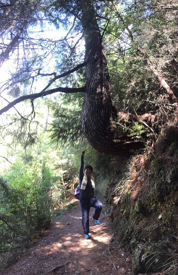 12032358_992589570821242_580683090_n.jpg 12032358_992589570821242_580683090_n.jpg