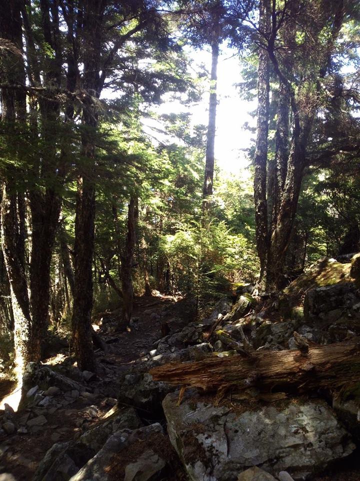 12167561_992588720821327_1541744266_n (1).jpg 12167561_992588720821327_1541744266_n (1).jpg