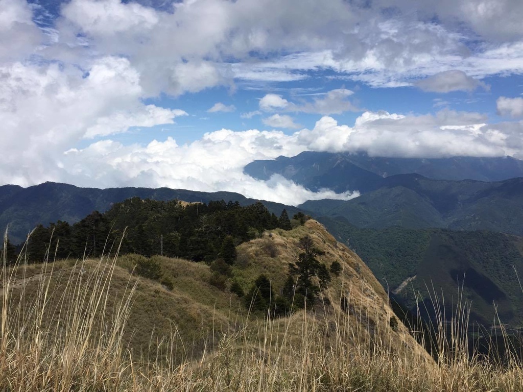 12380927_992588170821382_2035621352_o.jpg 12380927_992588170821382_2035621352_o.jpg