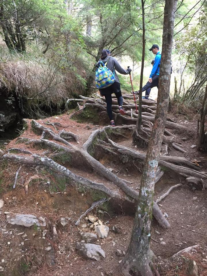 12421824_992589474154585_2073020398_n.jpg 12421824_992589474154585_2073020398_n.jpg