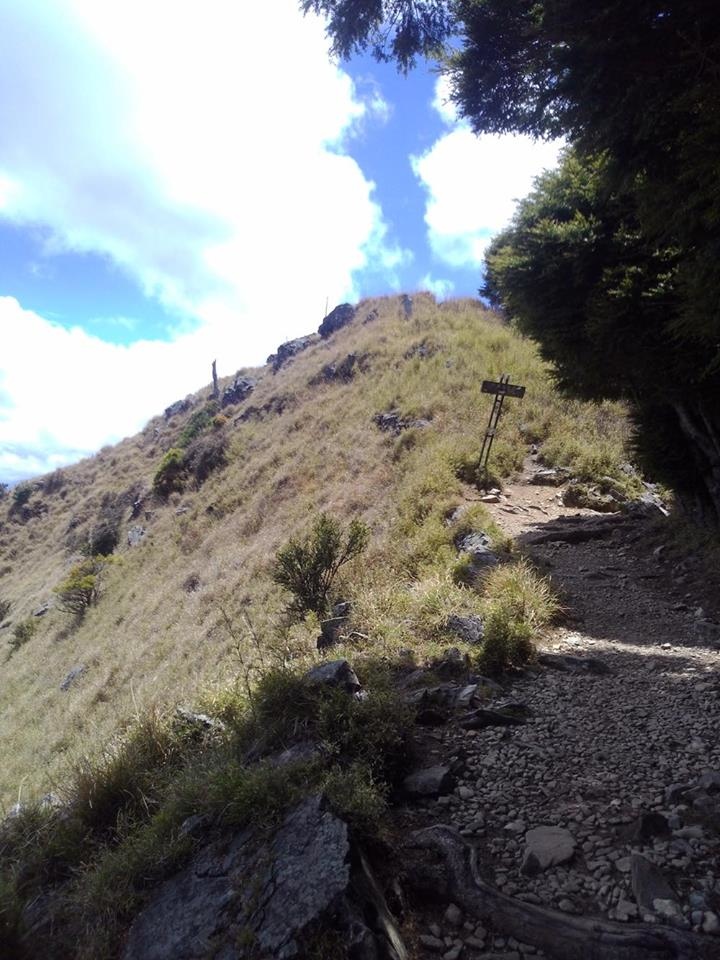 12443200_992588847487981_1841616355_n.jpg 12443200_992588847487981_1841616355_n.jpg