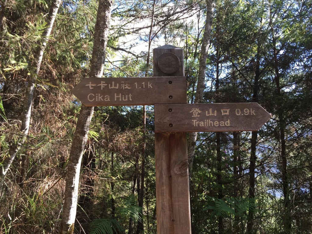 12477020_992589774154555_644475626_o.jpg 12477020_992589774154555_644475626_o.jpg