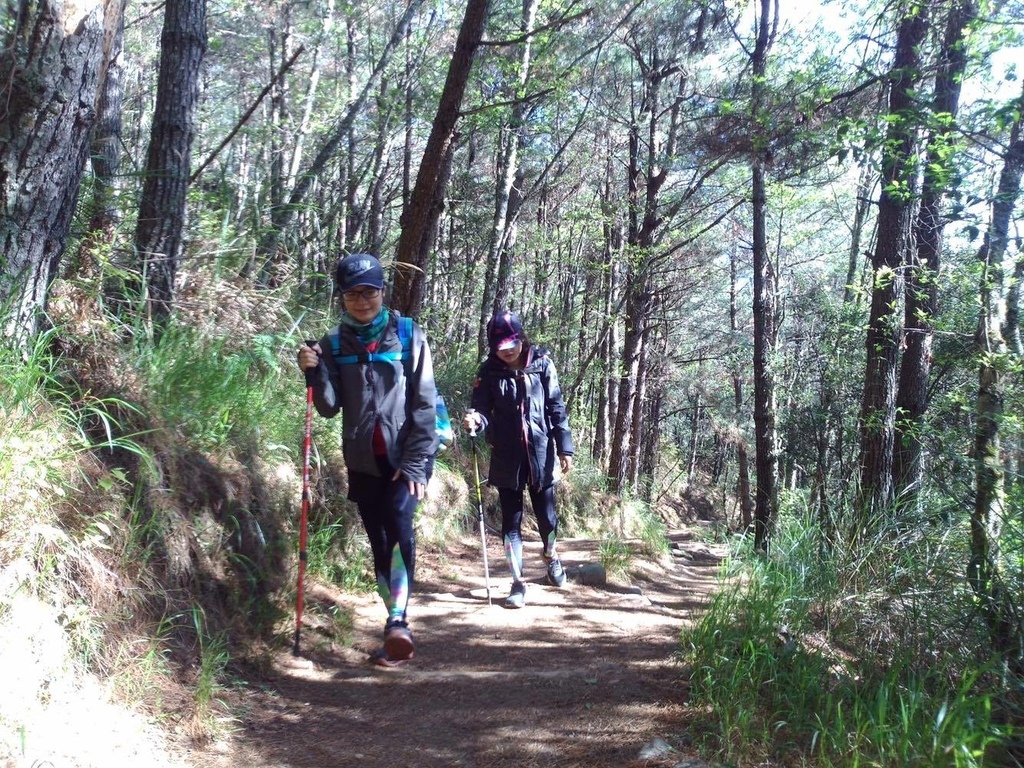 12754896_992589827487883_798145707_o.jpg 12754896_992589827487883_798145707_o.jpg