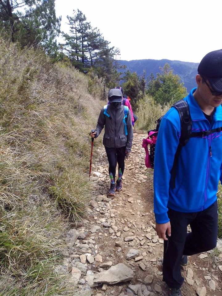 12821970_992589340821265_1711812778_n.jpg 12821970_992589340821265_1711812778_n.jpg