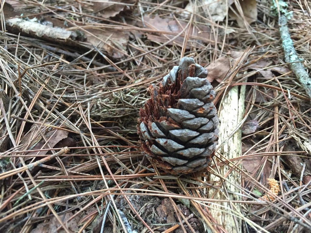 12788474_992589610821238_1013524936_o.jpg 12788474_992589610821238_1013524936_o.jpg