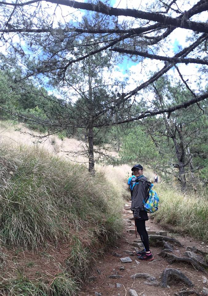 12825364_992589460821253_896632650_n.jpg 12825364_992589460821253_896632650_n.jpg