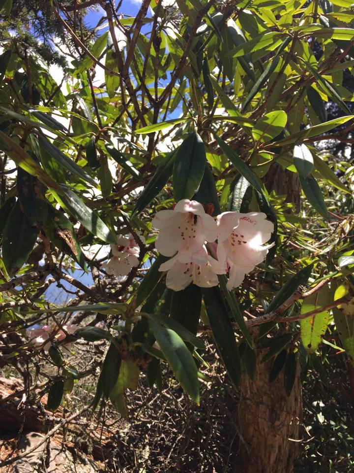 12834831_992588804154652_1680223633_n.jpg 12834831_992588804154652_1680223633_n.jpg