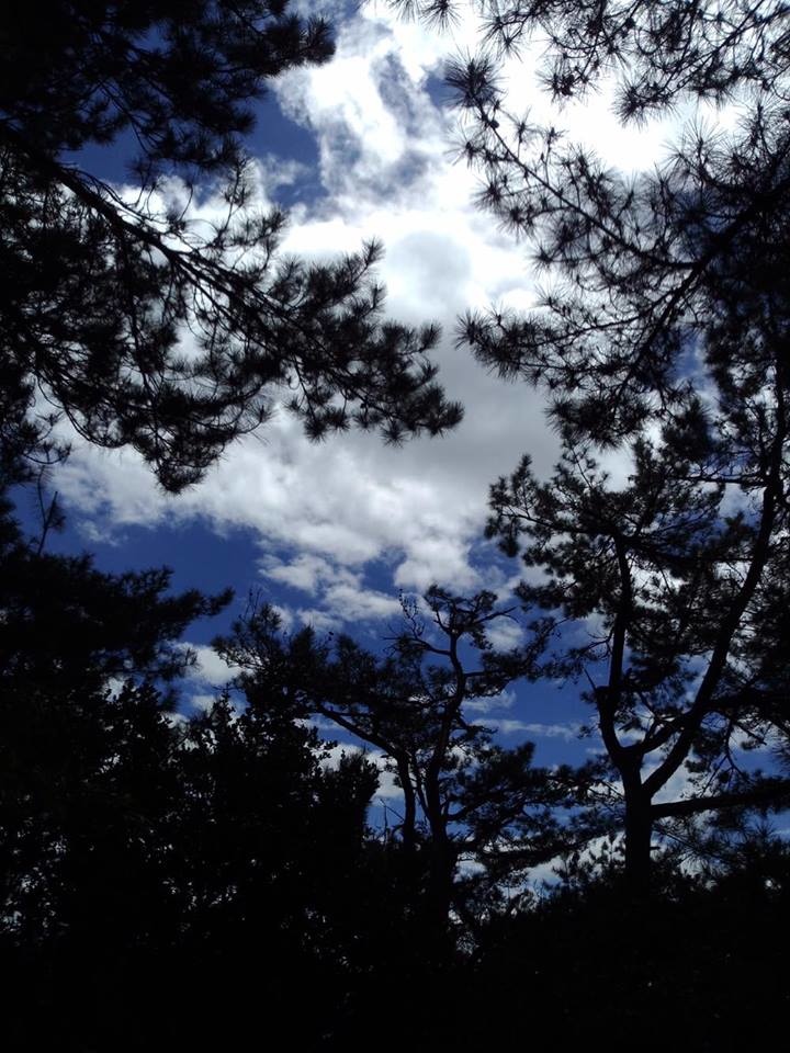 12834591_992589407487925_1943578590_n.jpg 12834591_992589407487925_1943578590_n.jpg