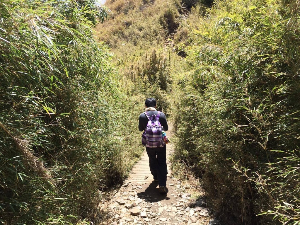 12842628_992588264154706_751255164_o.jpg 12842628_992588264154706_751255164_o.jpg