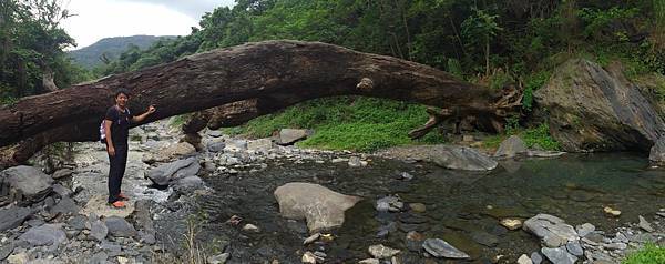 12516849_994743297272536_695984604_o.jpg 12516849_994743297272536_695984604_o.jpg