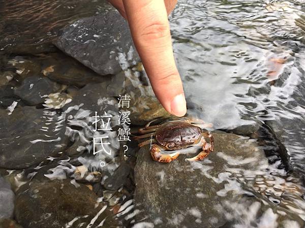 S__2195460.jpg S__2195460.jpg