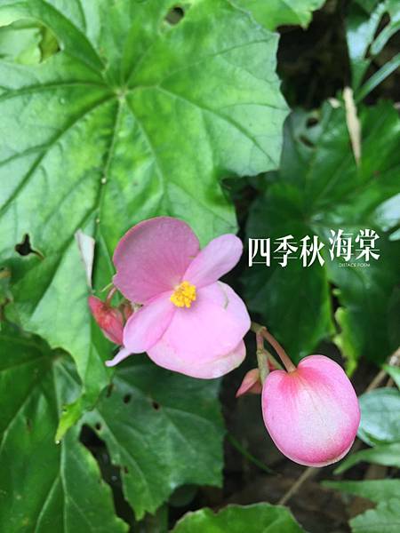 S__2195463.jpg S__2195463.jpg