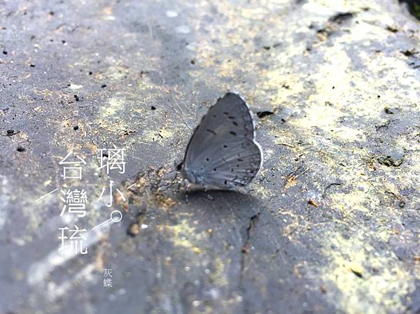 S__2195465.jpg S__2195465.jpg