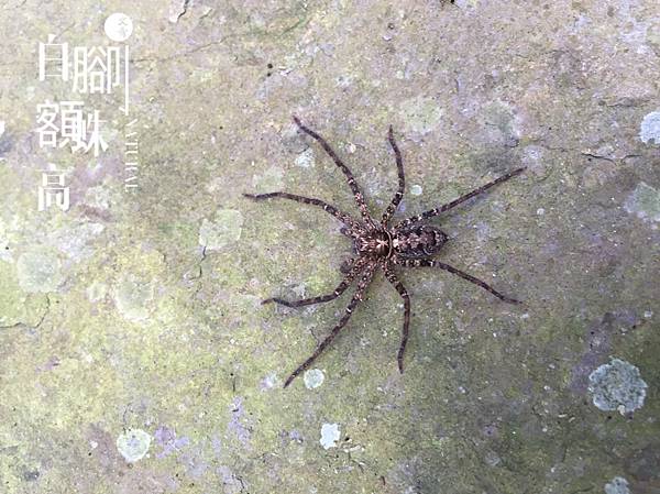 S__2195464.jpg S__2195464.jpg