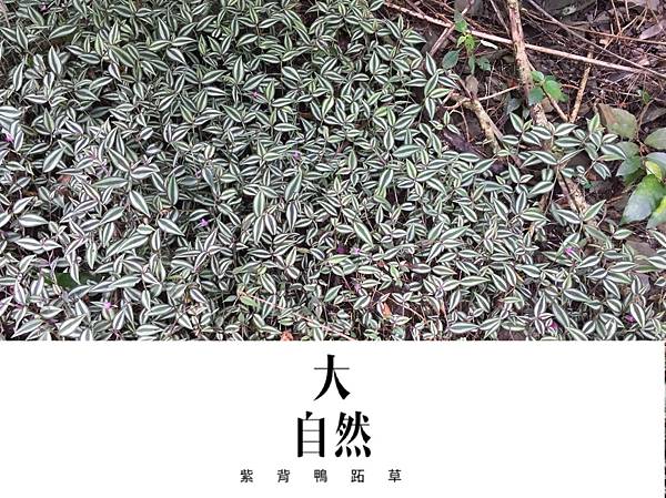 S__2195462.jpg S__2195462.jpg