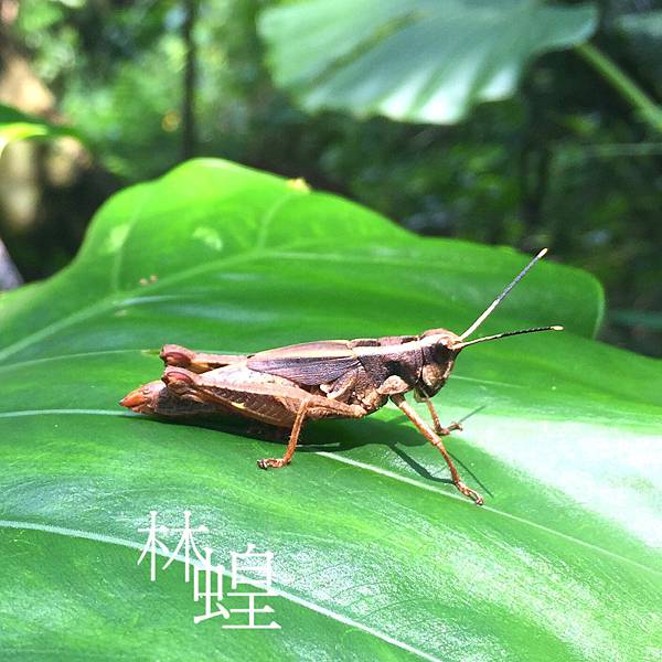 S__2195466.jpg S__2195466.jpg