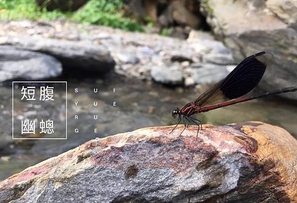 S__2195458.jpg S__2195458.jpg