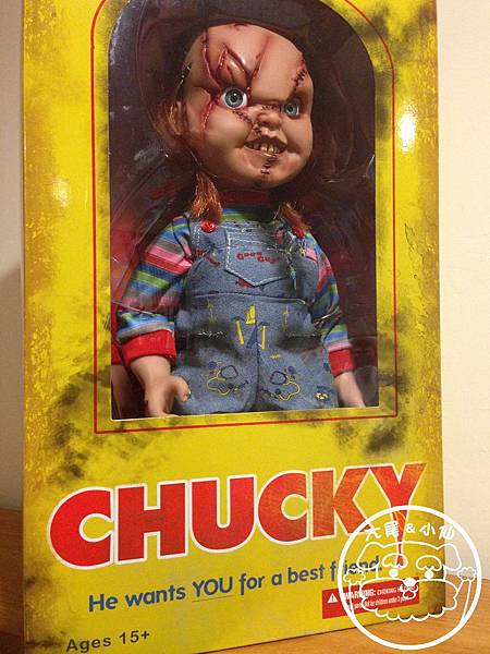 恰吉娃娃 恰吉娃娃