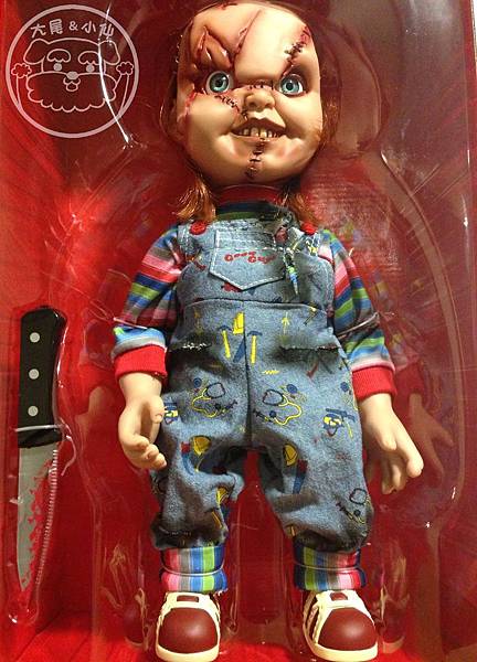 恰吉娃娃開箱 恰吉娃娃開箱