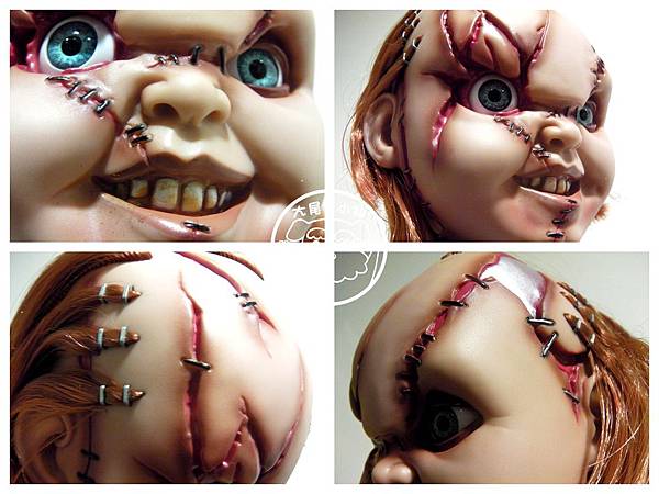 恰吉特寫 恰吉特寫