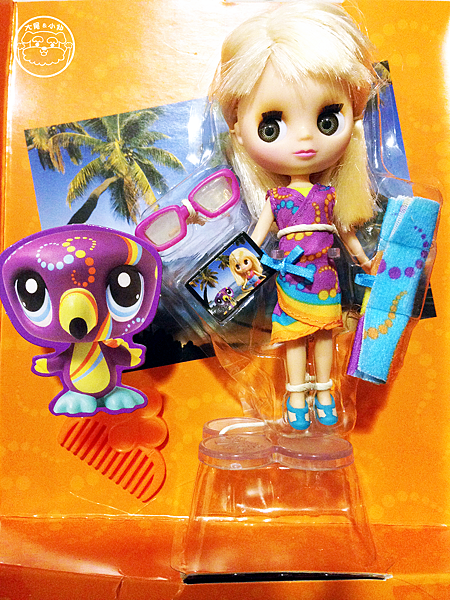 小小寵物迷你布blyhte開箱 小小寵物迷你布blyhte開箱