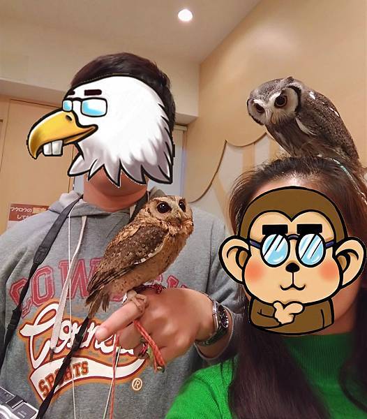 你要去哪裡【日本九州福岡･OWL Family(博多店)】(