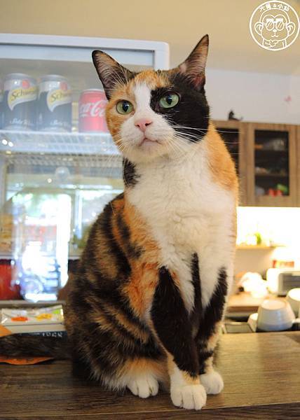 封面.JPG 封面.JPG