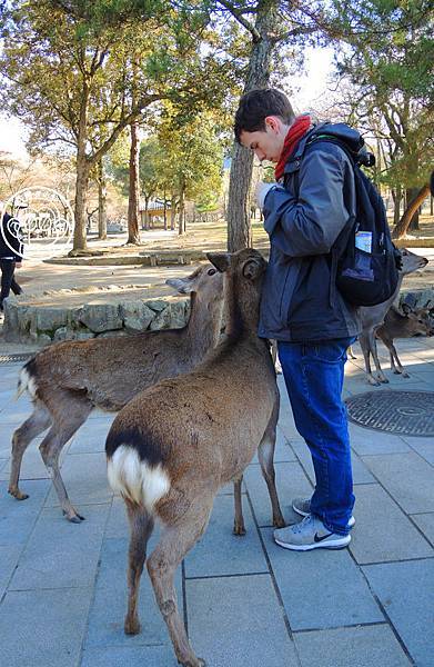 封面.JPG 封面.JPG